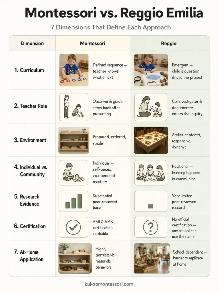 montessori vs reggio 7 dimensions