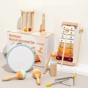Montessori Musical Instrument Set