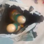 Ab29c20772ed4479ab754925bdefbc01dY