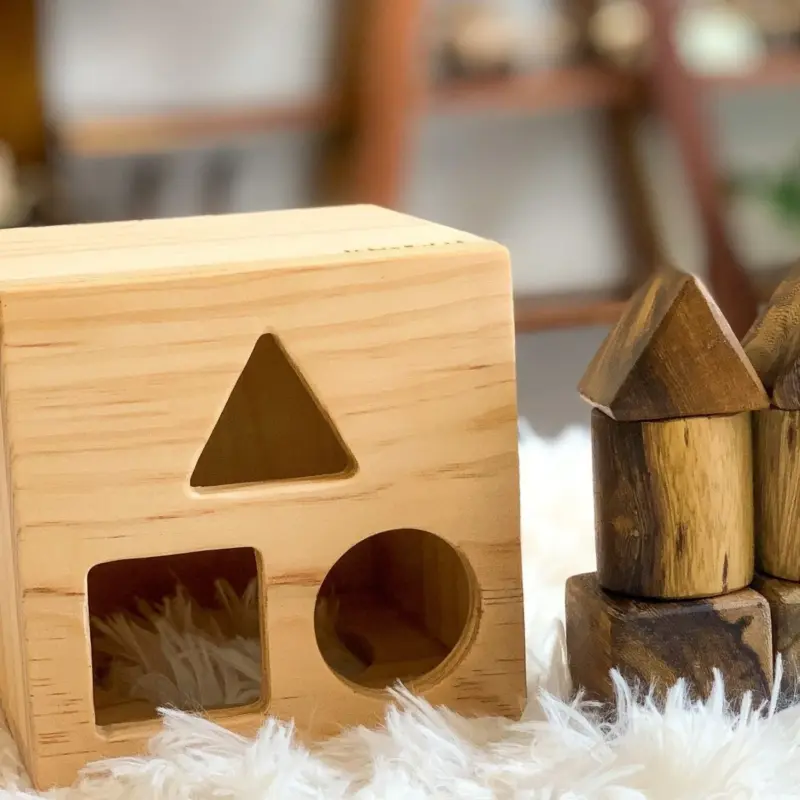 geometric shape sorting box 2