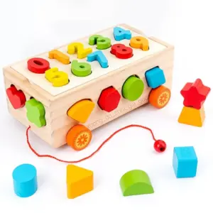 montessori pull along shape sorter toy