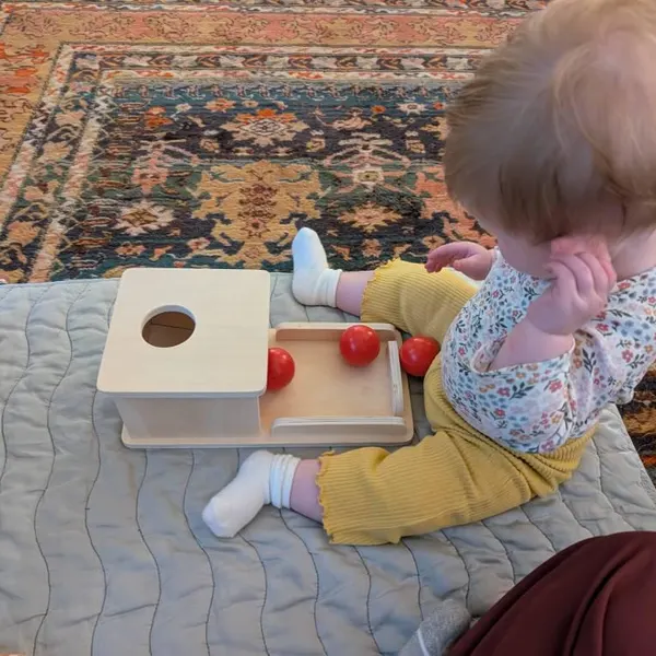 object permanence box