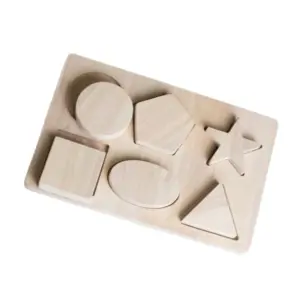 shapes educational toy