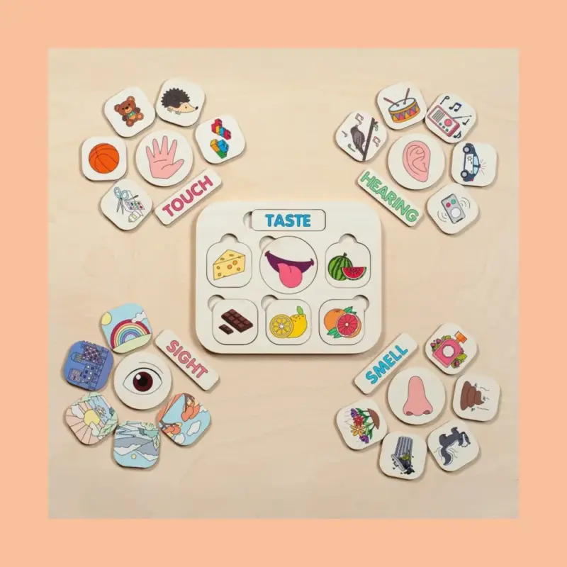 wooden five senses learning board1
