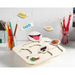 wooden five senses learning board2