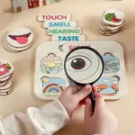 wooden five senses learning board3