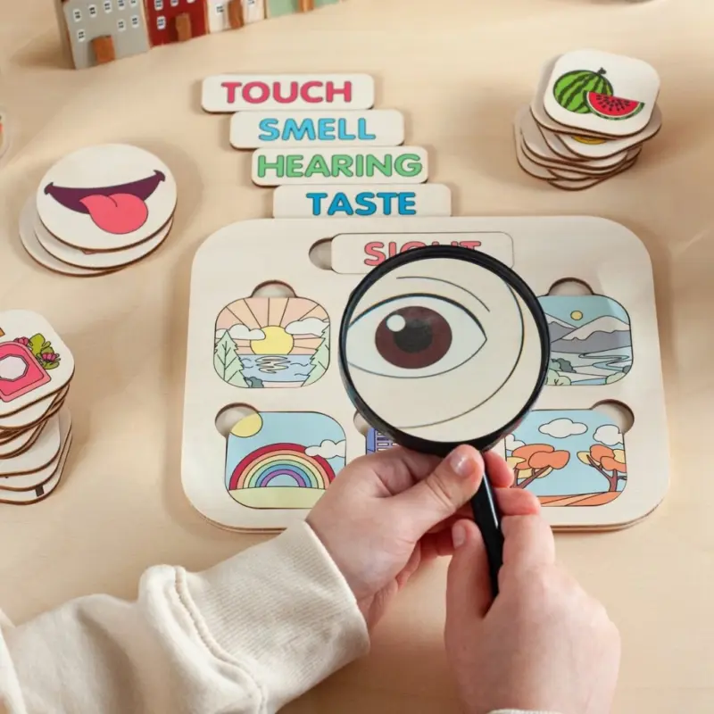 wooden five senses learning board3