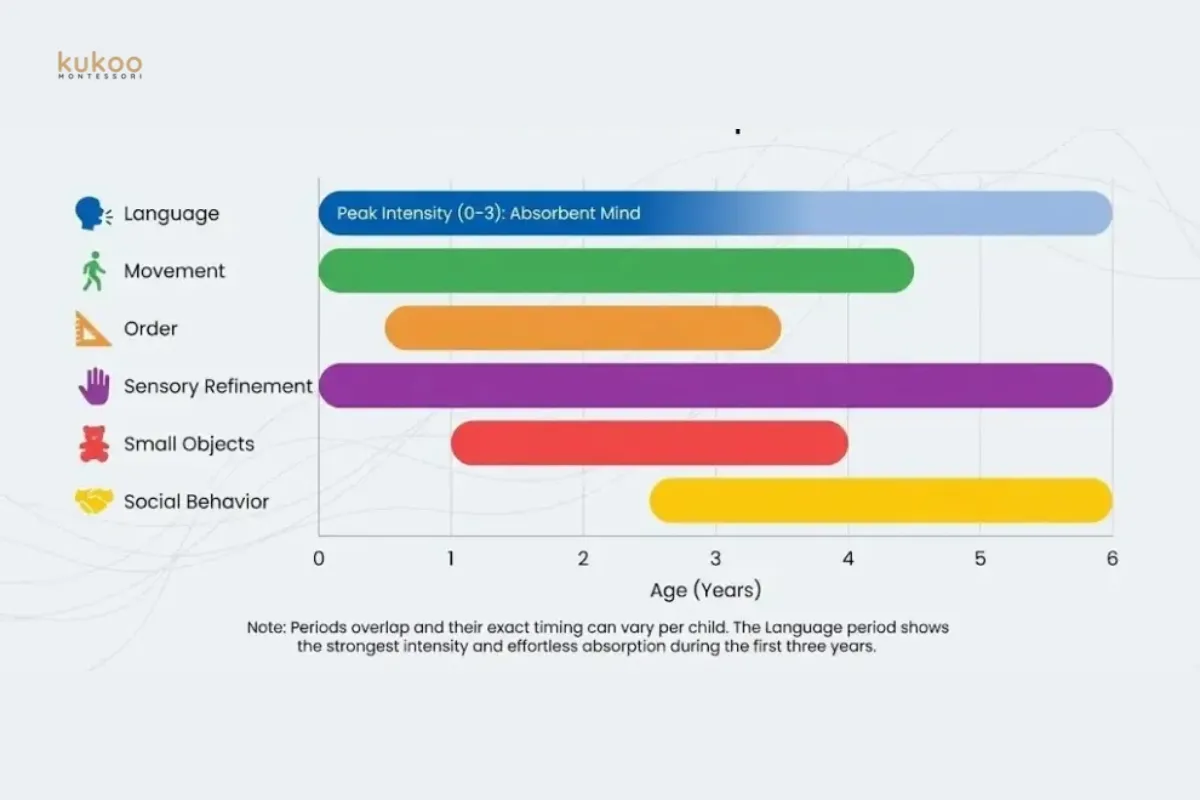 sensitive-periods sensitive periods