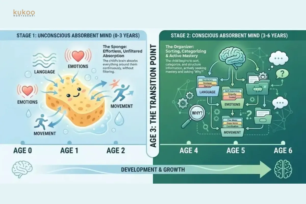 the-absorbent-mind the absorbent mind