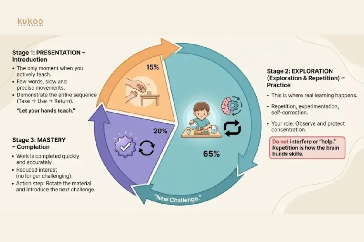 the-montessori-learning-cycle the montessori learning cycle