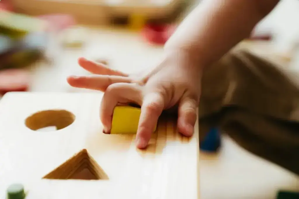 the science of hand development